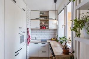 Small Kitchen Design