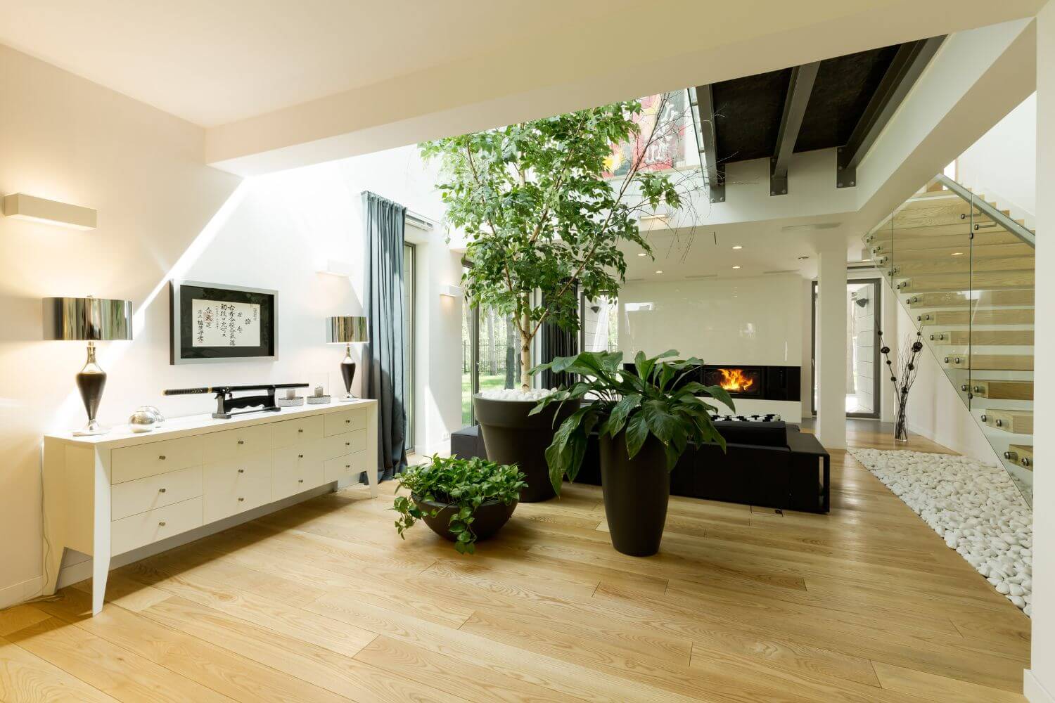 modern home featuring houseplants
