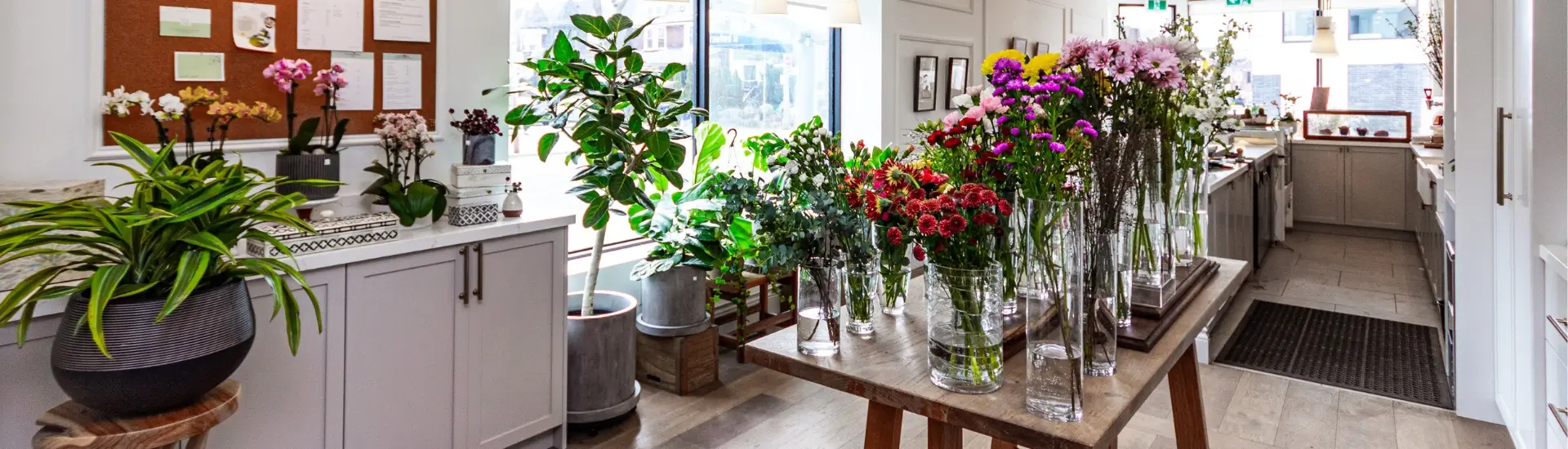 retail store reno reviews